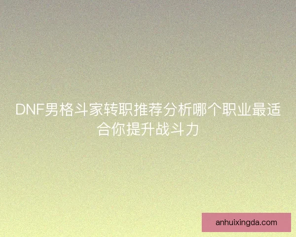 DNF男格斗家转职推荐分析哪个职业最适合你提升战斗力