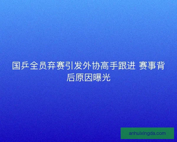 国乒全员弃赛引发外协高手跟进 赛事背后原因曝光