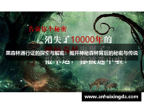 黑森林通行证的探索与解密:揭开神秘森林背后的秘密与传说