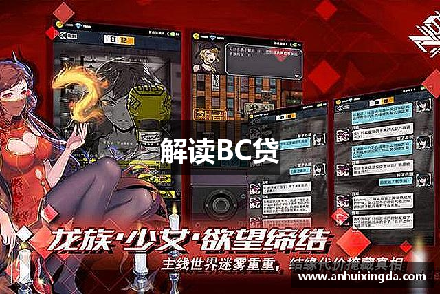 解读BC贷